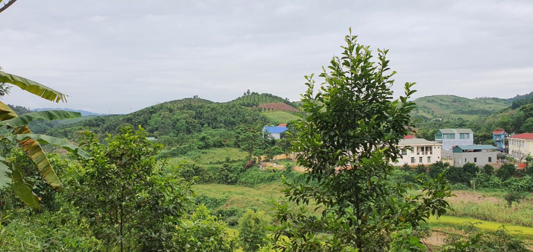 Bán đất Cao Phong, Hoà Bình 980m có 165m đất ở, giá chỉ hơn 400tr