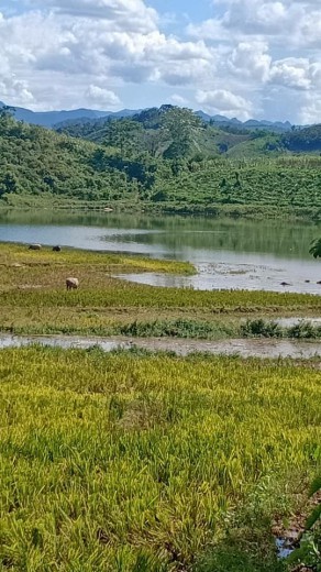 Bức phong thuỷ 11800m2 view hồ tại Cao Phong giá chỉ hơn trăm nghìn/1m2