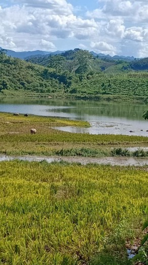 BÁN NHANH,BÁN RẺ TUYỆT PHẨM NGHỈ DƯỠNG DT 11.800M VIEW HỒ THƠ MỘNG CÓ 1 KHÔNG 2 TẠI HÒA BÌNH 