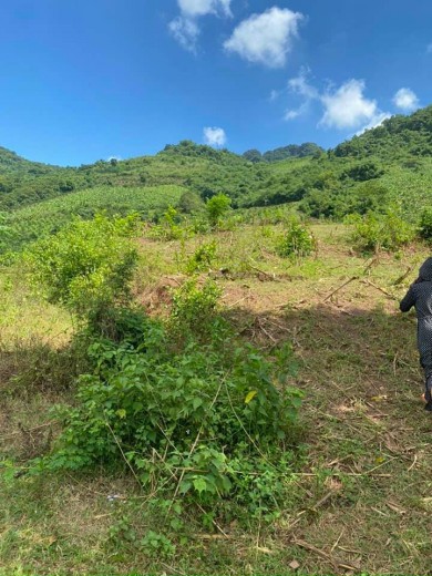 CẦN BÁN GẤP mảnh đất 1600m,2 mặt đường, view thoáng bám suối,cách ql6 2,5 km,ô tô vào tận đất