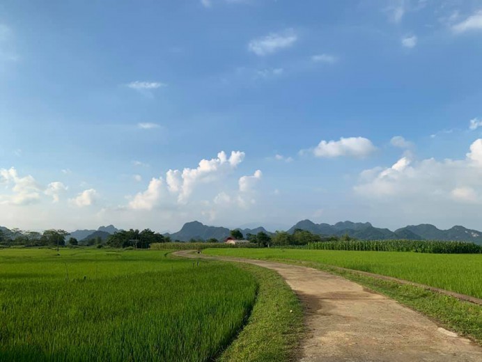 BÁN GẤP mảnh đất 1000m tại Tân Lạc,view cánh đồng,bám đường bê tông 30m,cách ql6 2,5 km,giá 480tr