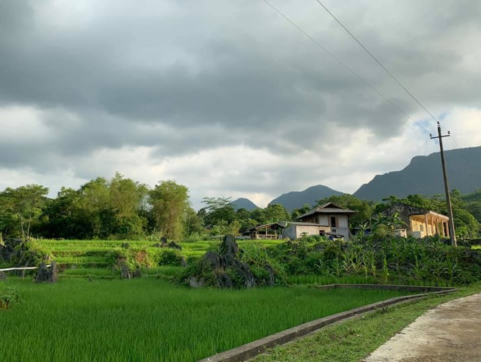 BÁN GẤP mảnh đất 1000m tại Tân Lạc,view cánh đồng,bám đường bê tông 30m,cách ql6 2,5 km,giá 480tr