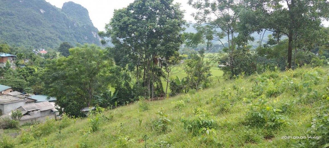 CẦN BÁN 5473M,740 thổ cư,view cao thoáng cánh đồng,ô tô vào tận đất,giá rẻ