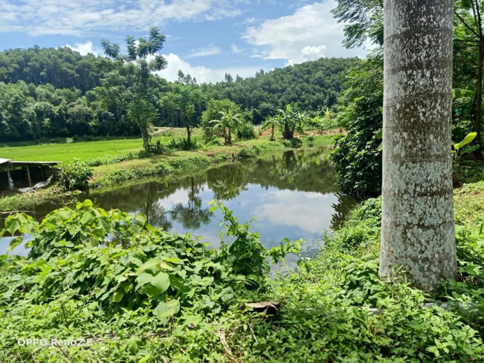 BÁN NHANH mảnh đất tại Yên Mông, Tp Hoà Bình. Dt 1100m,100m tc,khuyến mại ao cá,view cánh đồng thơ mộng,giá hơn tỷ