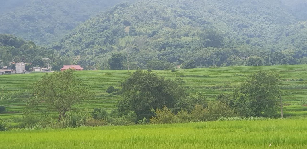 CẦN CHUYỂN NHƯỢNG 1300M TẠI KIM BÔI,VIEW THOÁNG ĐẸP,Ô TÔ TẬN ĐẤT,GIÁ RẺ