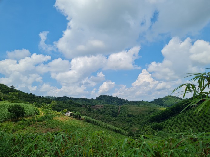 CẦN BÁN LÔ ĐẤT 3000M RSX,ĐỊA THẾ BẰNG PHẲNG,VIEW CAO THOÁNG TẠI CAO PHONG-HÒA BÌNH