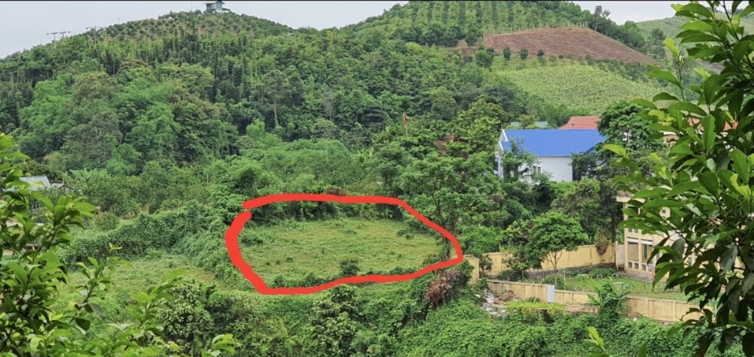 Bán đất Cao Phong, Hoà Bình 980m có 165m đất ở, giá chỉ hơn 400tr
