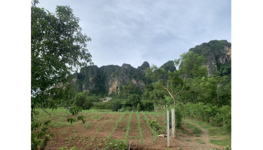 5500m có 400 thổ cư tại Tân Phong Cao Phong Thế đất thoáng đẹp, mặt tiền bám đường đất 40m Trong đất có sẵn ao, bám dòng suối nhỏ.