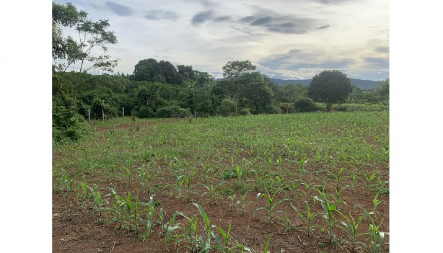 5500m có 400 thổ cư tại Tân Phong Cao Phong Thế đất thoáng đẹp, mặt tiền bám đường đất 40m Trong đất có sẵn ao, bám dòng suối nhỏ.