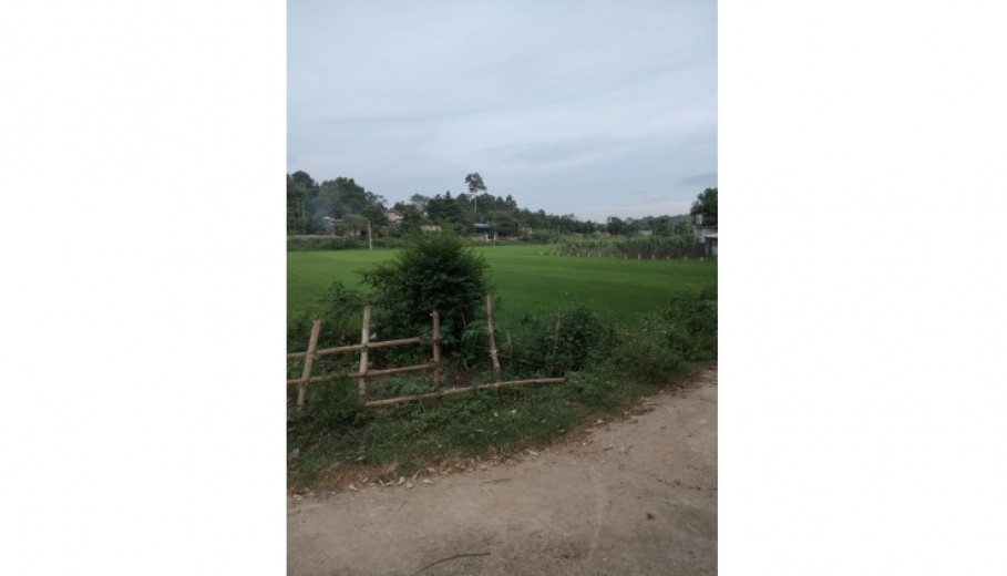 Bán đất Lương Sơn lô góc hai mặt tiền View cánh đồng dt 1000m full ont bám đường bê tông.