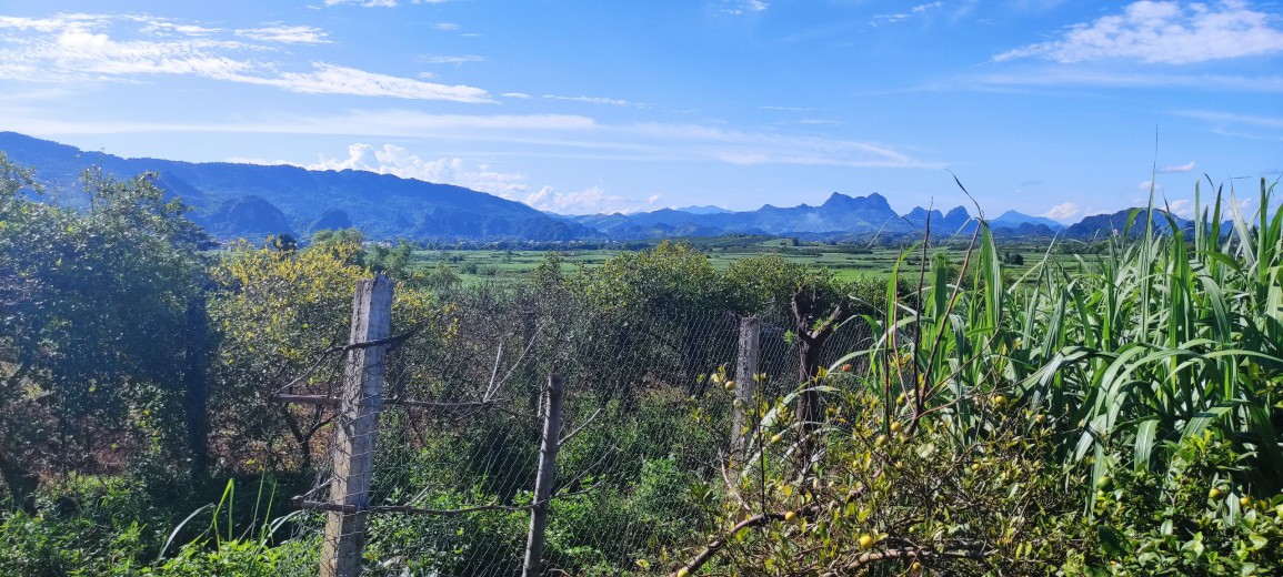 Hàng hiếm tại Cao Phong- Hoà Bình với diện tích là 4000m2 với 2000 thổ cư đất ở trên cao nhìn xuống cánh đồng lúa bát ngát xanh biếc