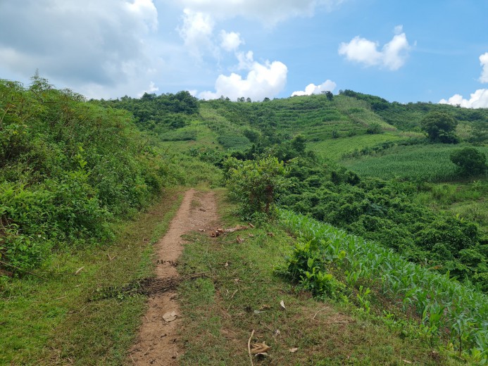 CẦN BÁN LÔ ĐẤT 3000M RSX,ĐỊA THẾ BẰNG PHẲNG,VIEW CAO THOÁNG TẠI CAO PHONG-HÒA BÌNH