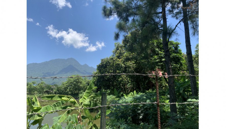 BÁN KHUÔN VIÊN VÂN HÒA BA VÌ 4460M CÓ 400M ONT SẴN NHÀ SÀN CÓ AO RỘNG VIEW CÁNH ĐỒNG, Núi!