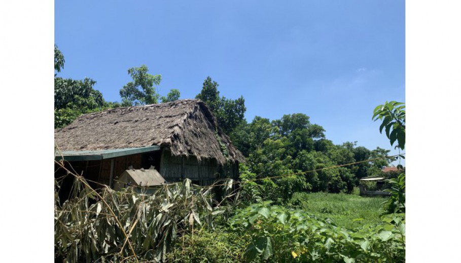 BÁN ĐẤT VÂN HÒA LÔ GÓC 8900M CÓ 1200M ONT SẴN NHÀ, AO, CÂY ĂN QUẢ LÂU NĂM!