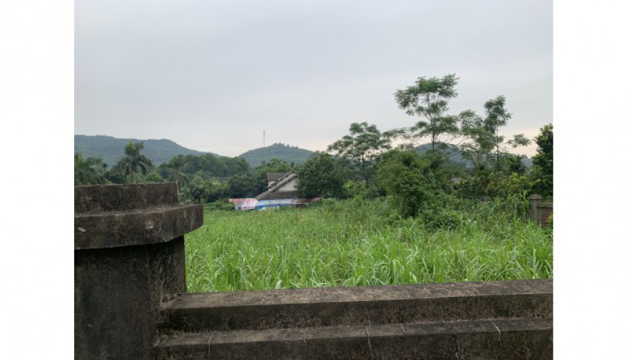 BÁN ĐẤT VÂN HÒA BA VÌ LÔ GÓC 1850M GIÁ CHỈ 1,XTR/M VUÔNG VẮN VIEW CAO THOÁNG!