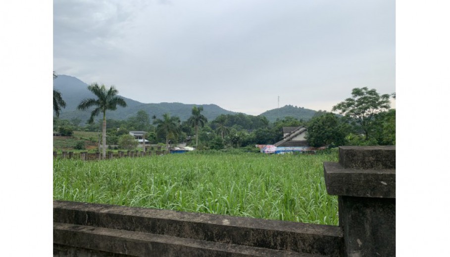 BÁN ĐẤT VÂN HÒA BA VÌ LÔ GÓC 1850M GIÁ CHỈ 1,XTR/M VUÔNG VẮN VIEW CAO THOÁNG!