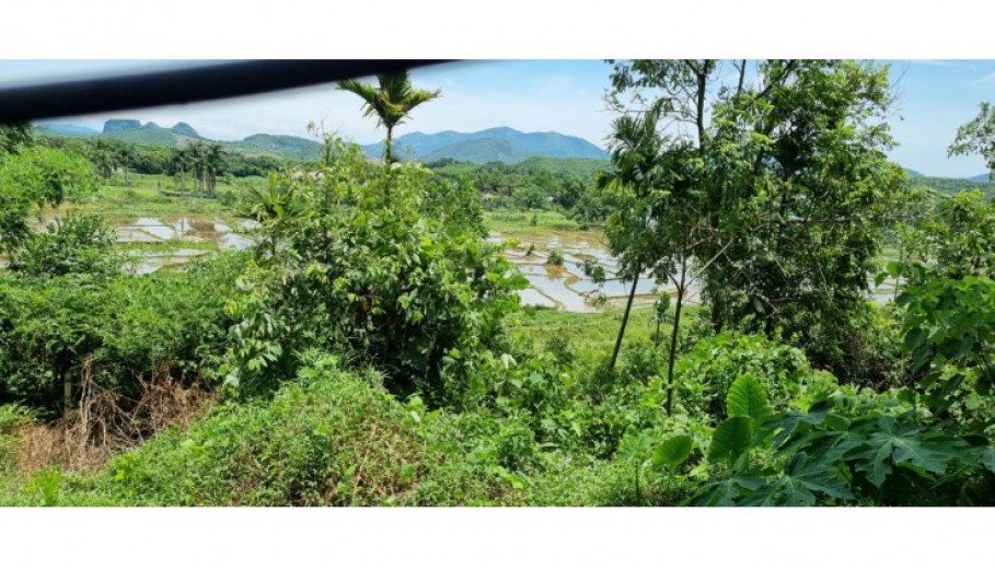 Bán 1300m View cánh đồng thoáng mát tại Lương Sơn, Hoà Bình giá đầu tư!