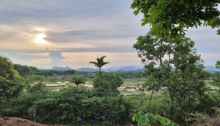 SIÊU PHẨM VIEW CÁNH ĐỒNG CỰC ĐẸP XUNG QUANH NHIỀU KHU NGHỈ DƯỠNG HOMESTAY CAO CẤP!
