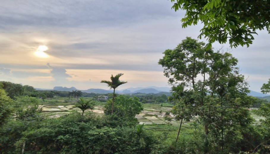 SIÊU PHẨM VIEW CÁNH ĐỒNG CỰC ĐẸP XUNG QUANH NHIỀU KHU NGHỈ DƯỠNG HOMESTAY CAO CẤP!
