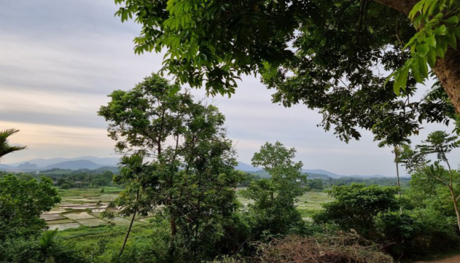 SIÊU PHẨM VIEW CÁNH ĐỒNG CỰC ĐẸP XUNG QUANH NHIỀU KHU NGHỈ DƯỠNG HOMESTAY CAO CẤP!
