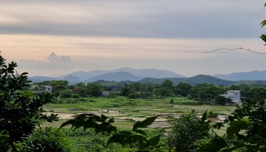SIÊU PHẨM VIEW CÁNH ĐỒNG CỰC ĐẸP XUNG QUANH NHIỀU KHU NGHỈ DƯỠNG HOMESTAY CAO CẤP!