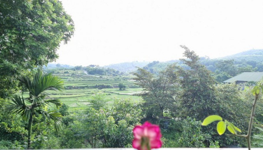 Bán đất Lương Sơn 3634m2 view cánh đồng,vườn cây ao cá giá rẻ nhất khu vực!