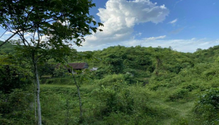 Bán đất Lương Sơn Hòa Bình 2,7ha làm trang trại nhà vườn,view cao thoáng giá rẻ.