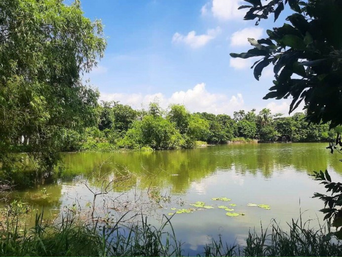 Bán 2932m.1200ont đất bám mặt hồ lớn tại Đồng Tâm - Lạc Thủy - Hòa Bình