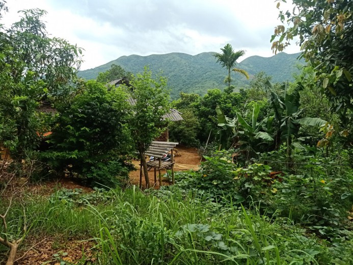 Cần bán đất thổ cư nghỉ dưỡng tặng nhà sàn nhỏ xinh tại Cao Phong Hòa Bình