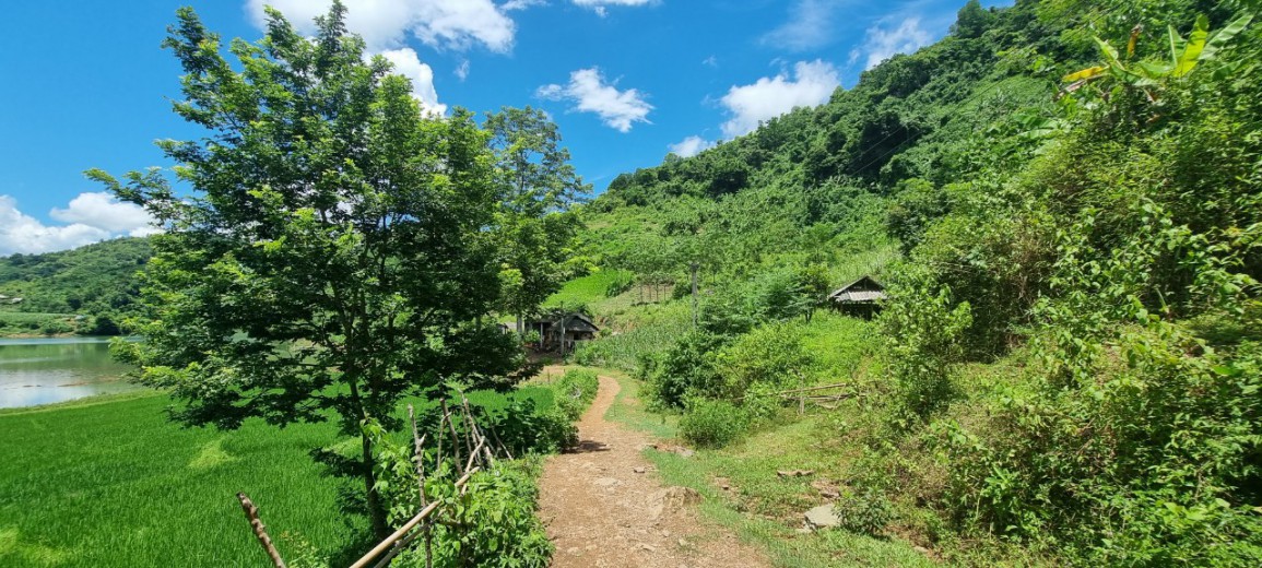 Bán đất Cao Phong 1,1Ha, Một Mặt View Hồ 100ha, Một Mặt View Ruộng Bậc Thang - Giá Đầu Tư