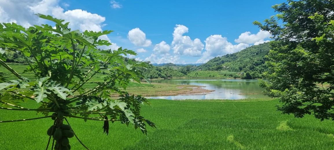 Hơn 1,1ha Rẻ Như Cho Mua Covid, Một Mặt View Hồ 100ha, Một Mặt View Ruộng Bậc Thang - Giá Đầu Tư
