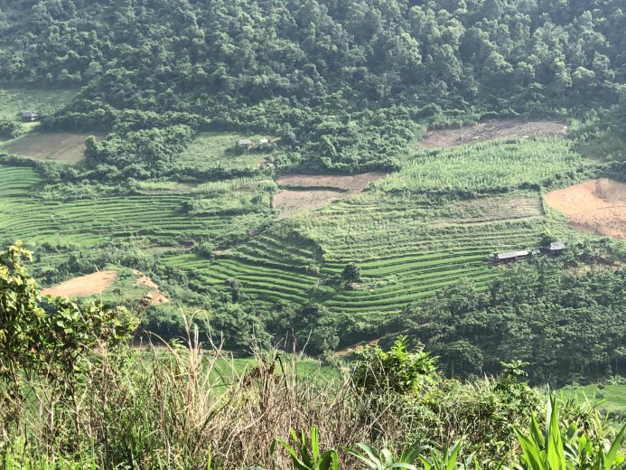 Bán đất Cao Phong diện tích 1,25ha  giá siêu rẻ view ruộng bậc thang thơ mộng giá rẻ mùa dịch