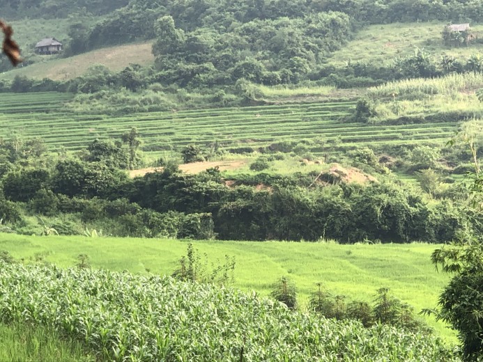 Bán đất Cao Phong diện tích 1,25ha  giá siêu rẻ view ruộng bậc thang thơ mộng giá rẻ mùa dịch