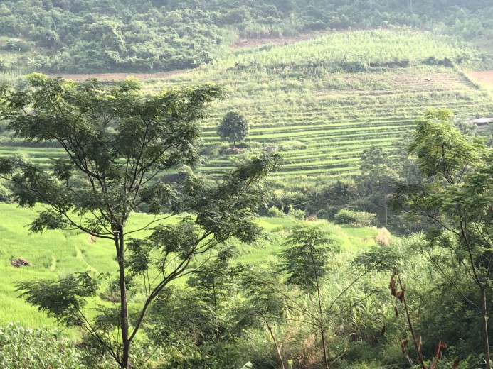 Bán đất Cao Phong diện tích 1,25ha  giá siêu rẻ view ruộng bậc thang thơ mộng giá rẻ mùa dịch