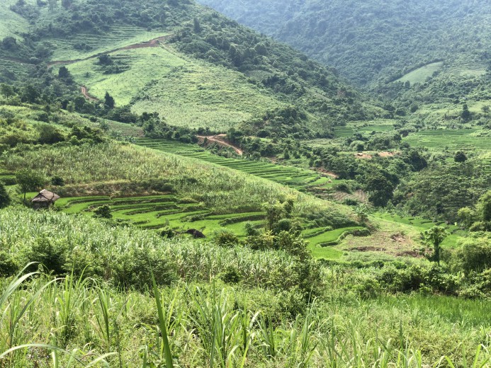 Bán đất Cao Phong diện tích 1,25ha  giá siêu rẻ view ruộng bậc thang thơ mộng giá rẻ mùa dịch