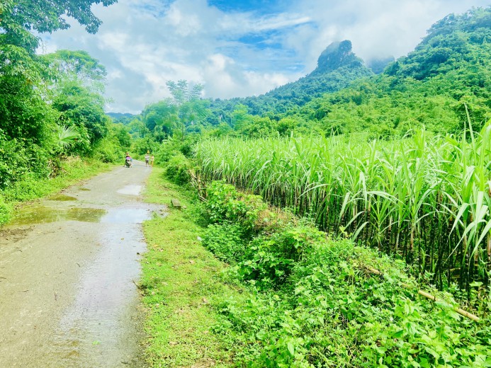 Bán đất Tân Lạc 1600m bám đường liên xã, cơ hội đầu tư sinh lời