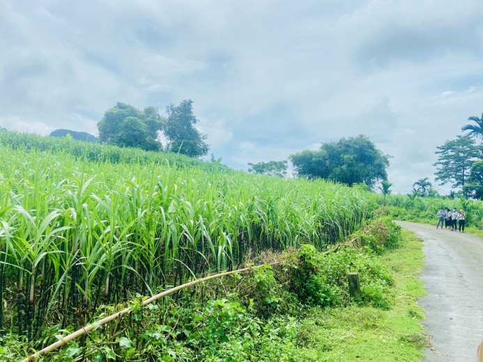 Bán đất Tân Lạc 1600m bám đường liên xã, cơ hội đầu tư sinh lời