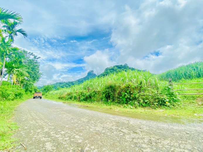 Bán đất Tân Lạc 1600m bám đường liên xã, cơ hội đầu tư sinh lời