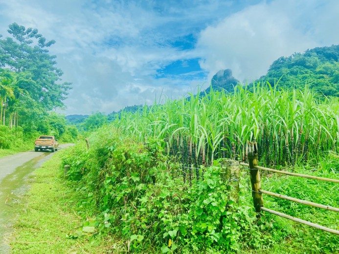 Bán đất Tân Lạc 1600m bám đường liên xã, cơ hội đầu tư sinh lời