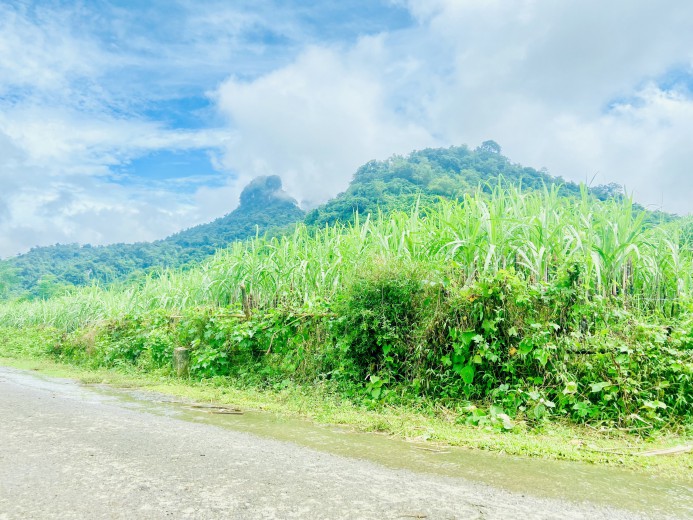 Bán đất Tân Lạc 1600m bám đường liên xã, cơ hội đầu tư sinh lời