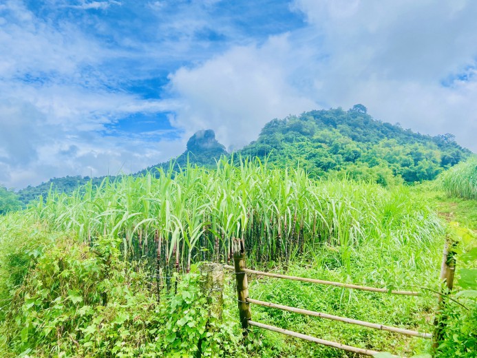 Bán đất Tân Lạc 1600m bám đường liên xã, cơ hội đầu tư sinh lời