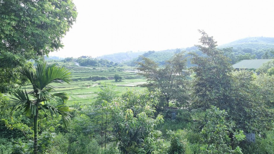 Cần bán lô đất 3634m tọa lạc tại vị trí đắc địa của Lương Sơn Hòa Bình giá quá rẻ