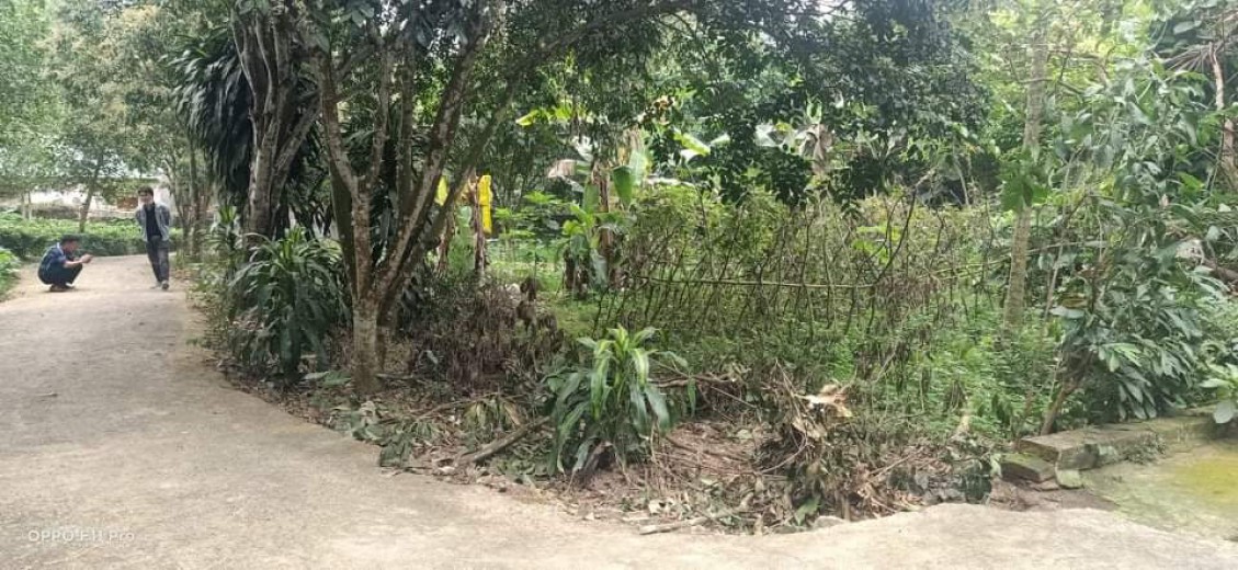 Cần bán đất tại thị trấn Lương Sơn giá rẻ