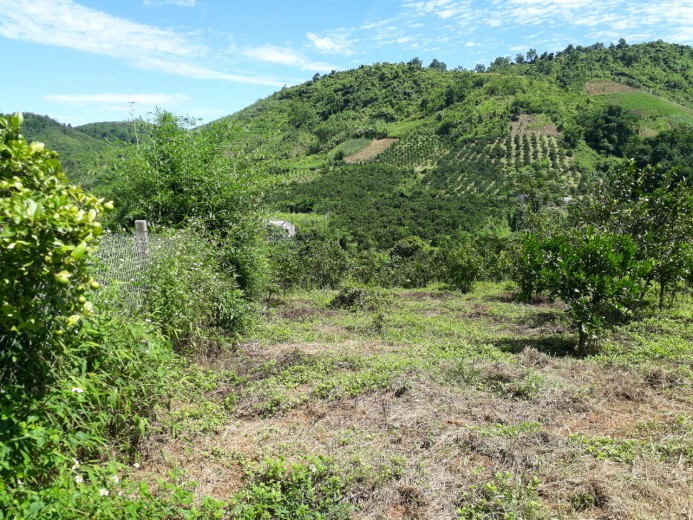 Bán đất hơn 3000m đất Cao Phong giá chưa đến 1 tỷ