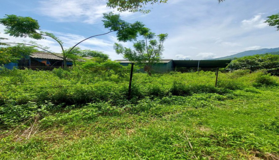 Bán đất nghỉ dưỡng tại Lương Sơn dt 4287m có 400m thổ cư giá rẻ!