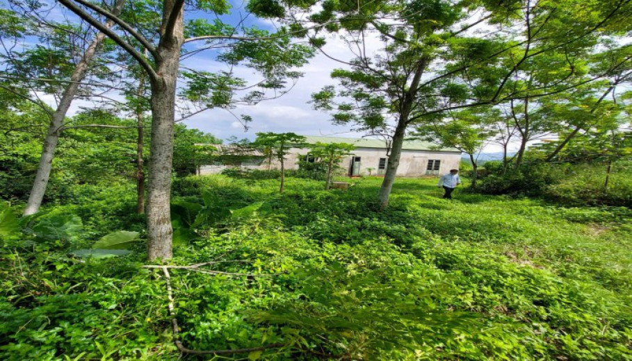 Bán đất nghỉ dưỡng tại Lương Sơn dt 4287m có 400m thổ cư giá rẻ!