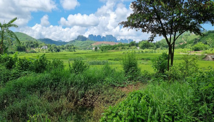 KHUÂN VIÊN NGHỈ DƯỠNG 3700M CỰC ĐẸP TẠI LƯƠNG SƠN - VIEW CÁNH ĐỒNG THOÁNG!