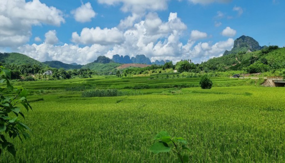 KHUÂN VIÊN NGHỈ DƯỠNG 3700M CỰC ĐẸP TẠI LƯƠNG SƠN - VIEW CÁNH ĐỒNG THOÁNG!