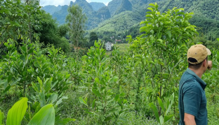 Bán đất nghỉ dưỡng vew tuyệt đỉnh 3 mặt bám cánh đồng tại lương Sơn Hòa Bình!