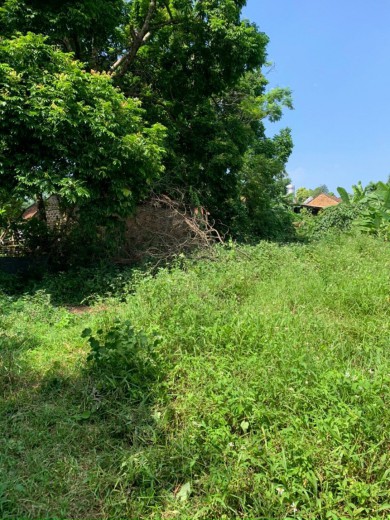 Bán 1700m.200 ont đất view cánh đồng bám đường 40m tại Hoàng Văn Thụ - Chương Mỹ - Hà Nội